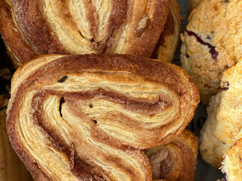 Palmier